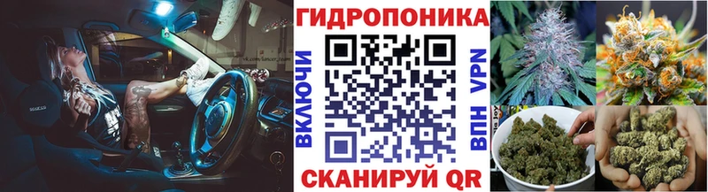 Конопля конопля  Магадан 